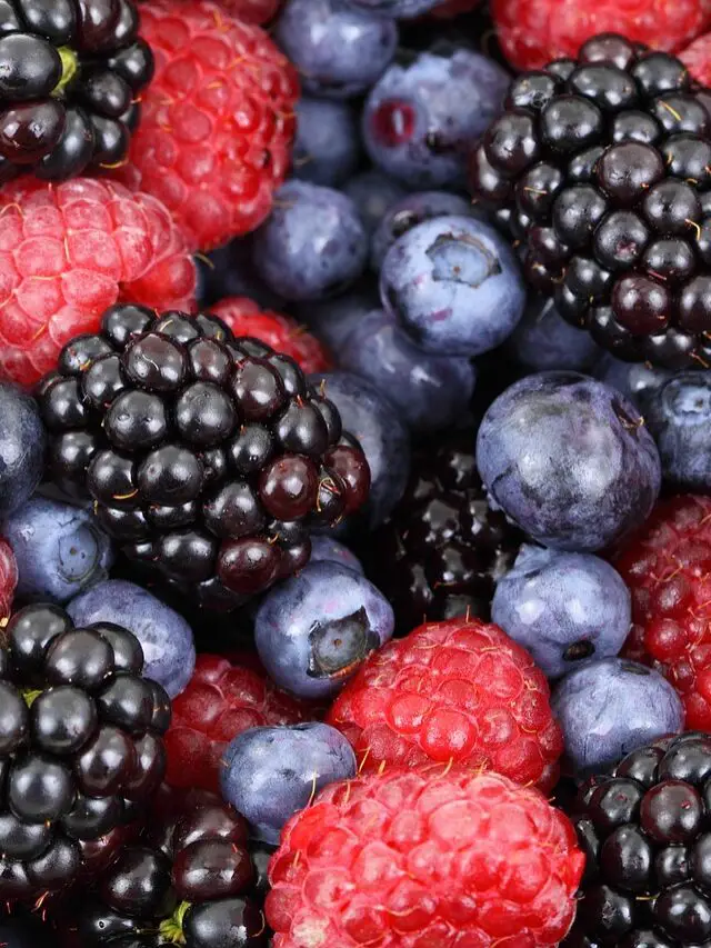 berries, fruits, food-2277.jpg